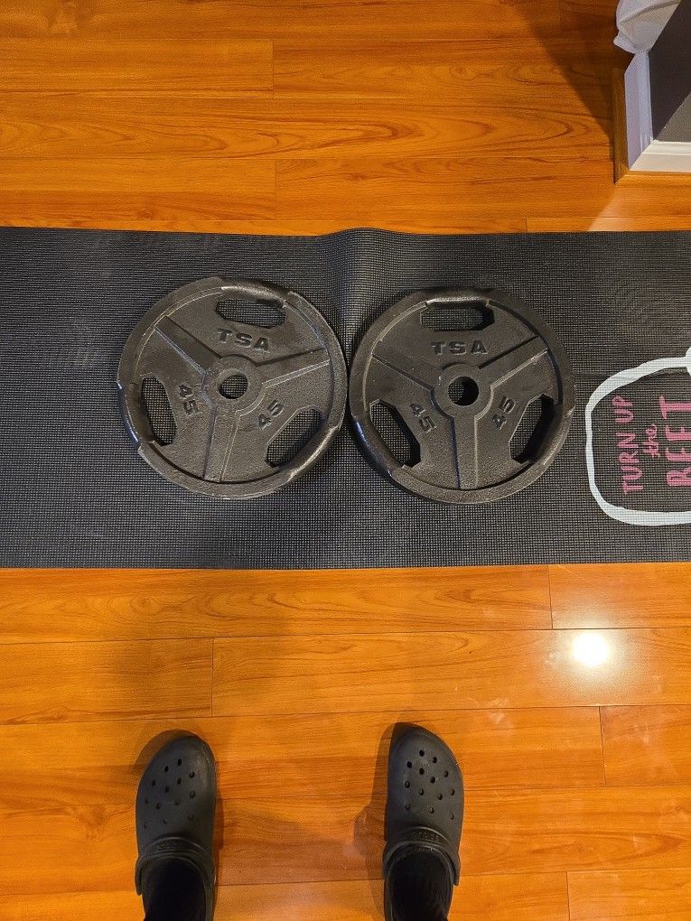 TSA 45 POUND WEIGHTS