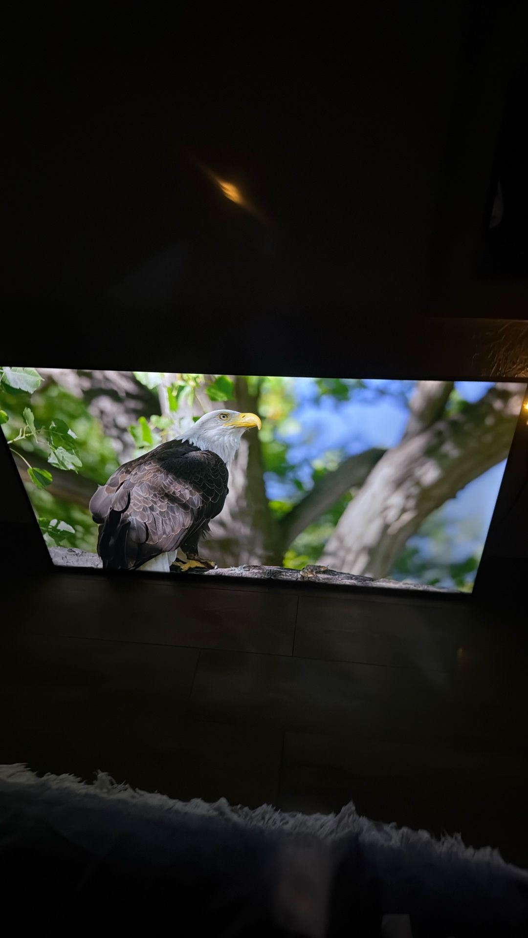 50 Inch  TV