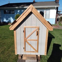 4'x8' Shed/Mini Play House