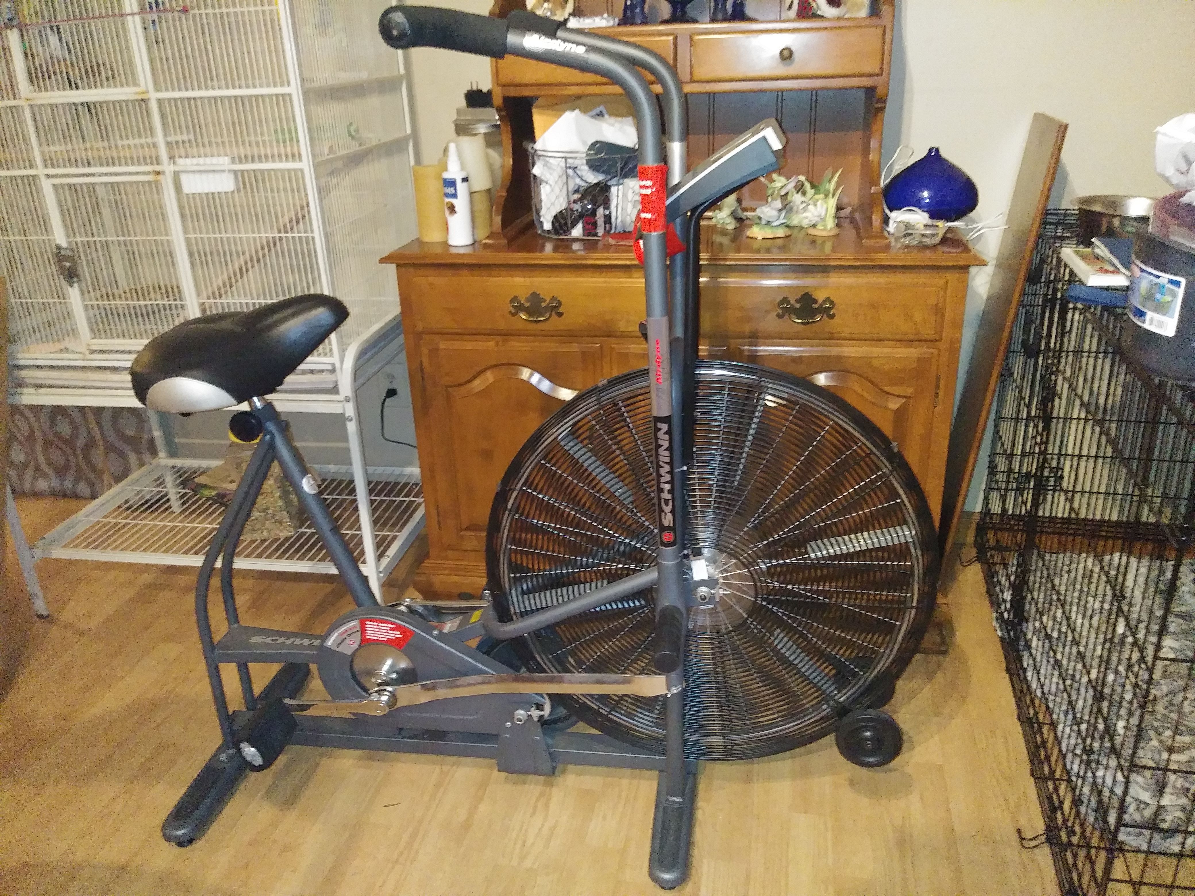 Schwinn Airdyne AD4 Upright Exercise Bike