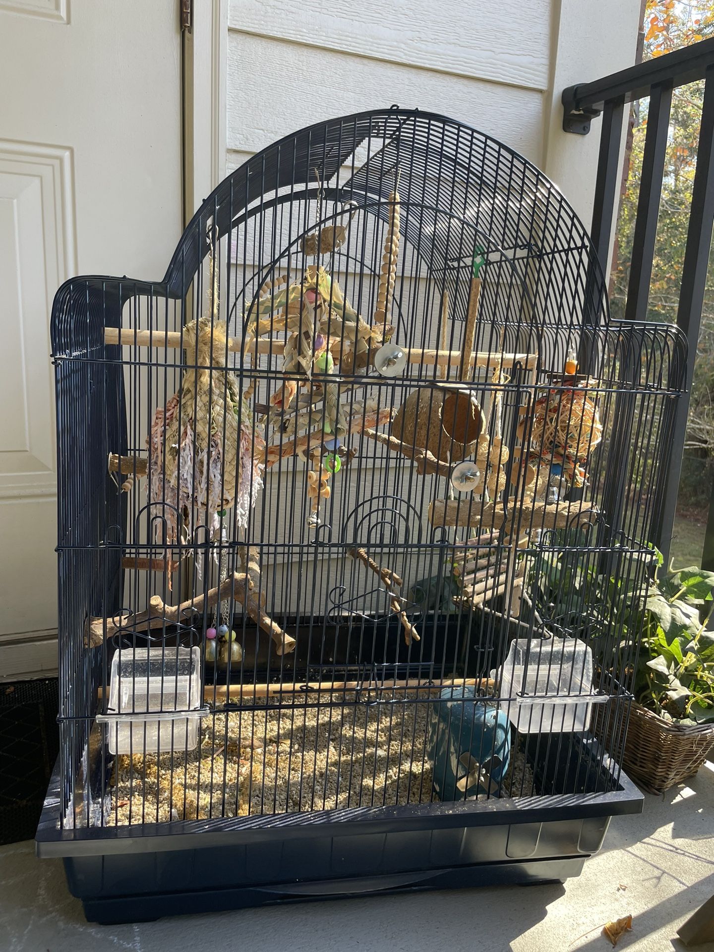 Bird Cage