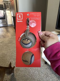 Cute Dog Toy