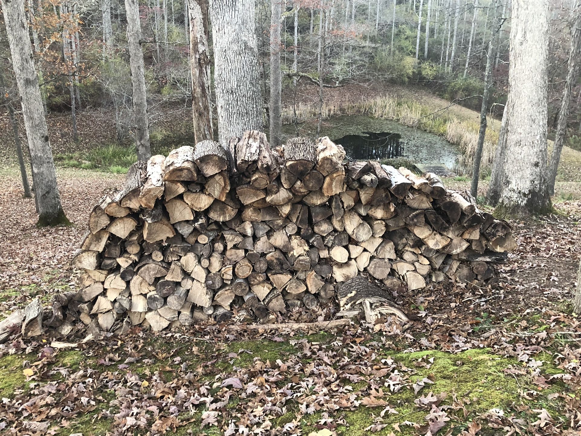 Firewood