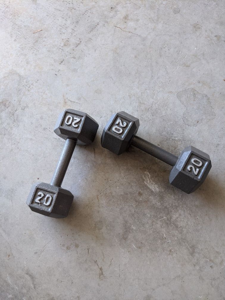 20lb Weighted Dumbell Set! (Never Used)