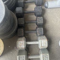 Dumbell Weights For Work Out