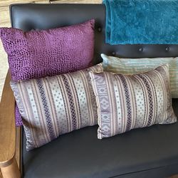 2 Throw Pillows 