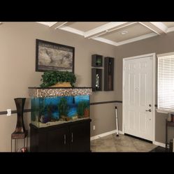 80 Gallon Fish Tank Stand And Canopy 400$