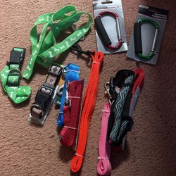 Dog Ropes And Carrier 