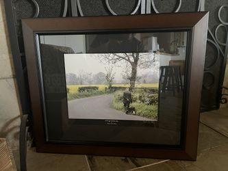 Framed Photography Art