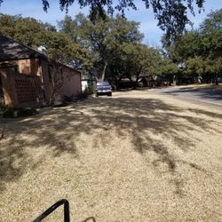 Clean!! LEAVES Laws Service 