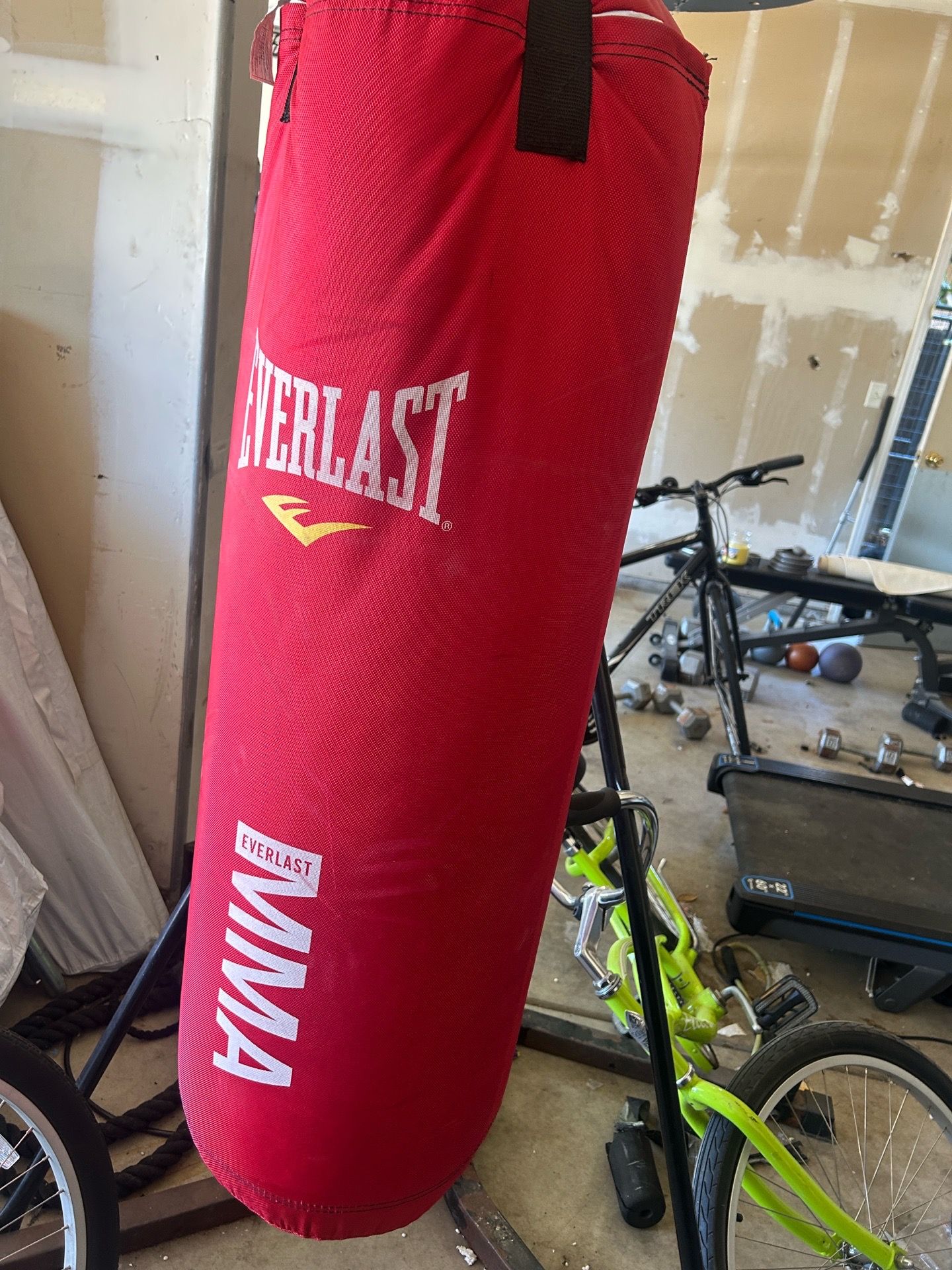 Everlast MMA Punching Bag