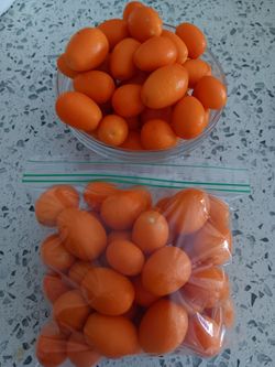 Kumquat/Naranjas Chinas