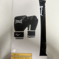 Everlast Core 2 Training Boxing Gloves -L/XL-new