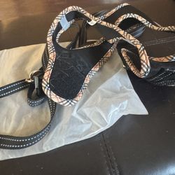 Amtor Small Dogs Harness With Leash Large Size