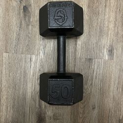 50 Pound Cast Iron Dumbbell (1 SET)