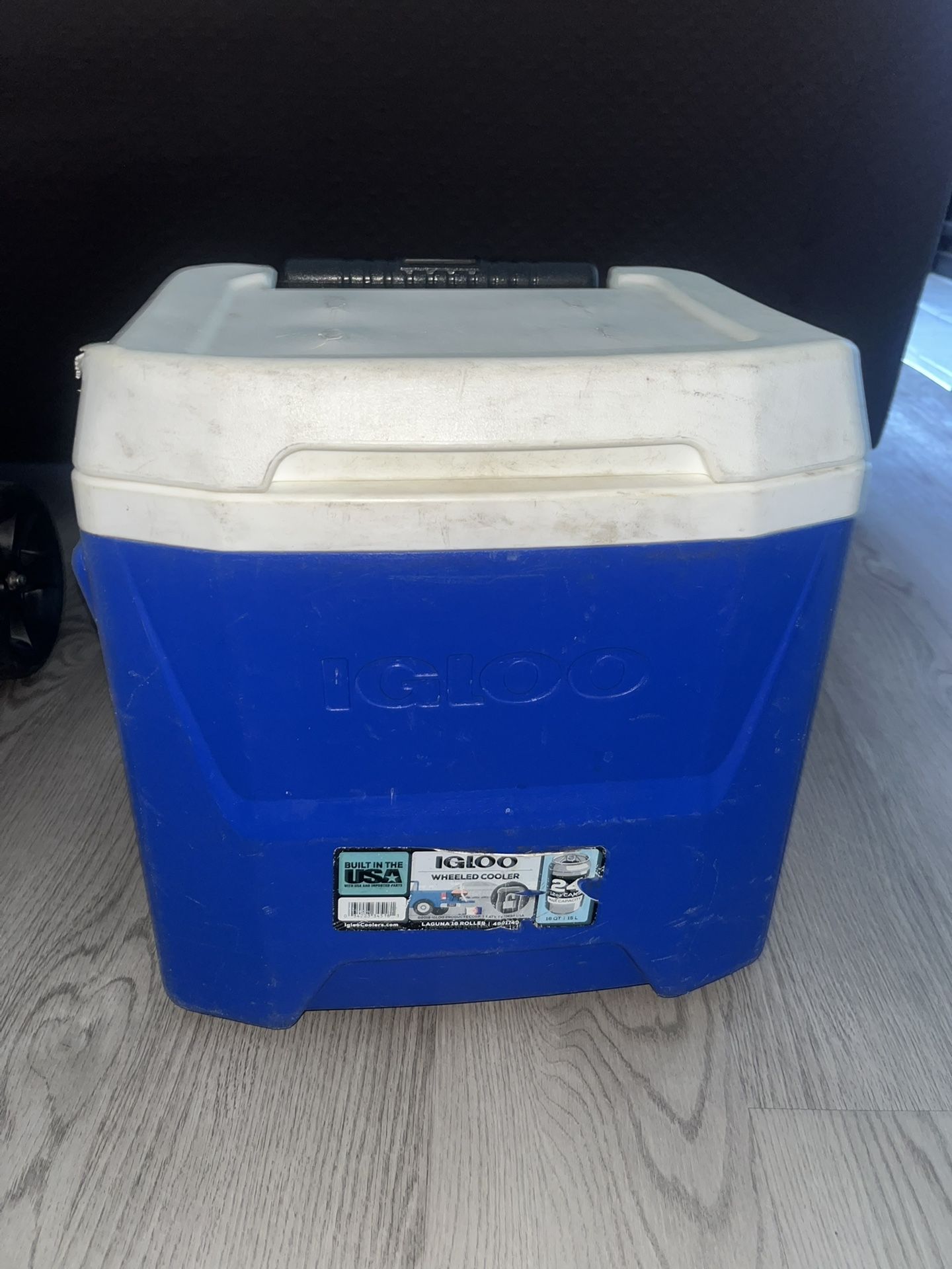 Igloo Cooler
