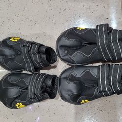 Dog Shoes