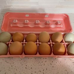 $5Farm Fresh Eggs