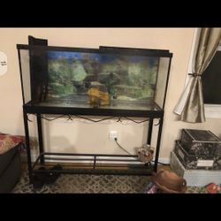 Fishtank 55g
