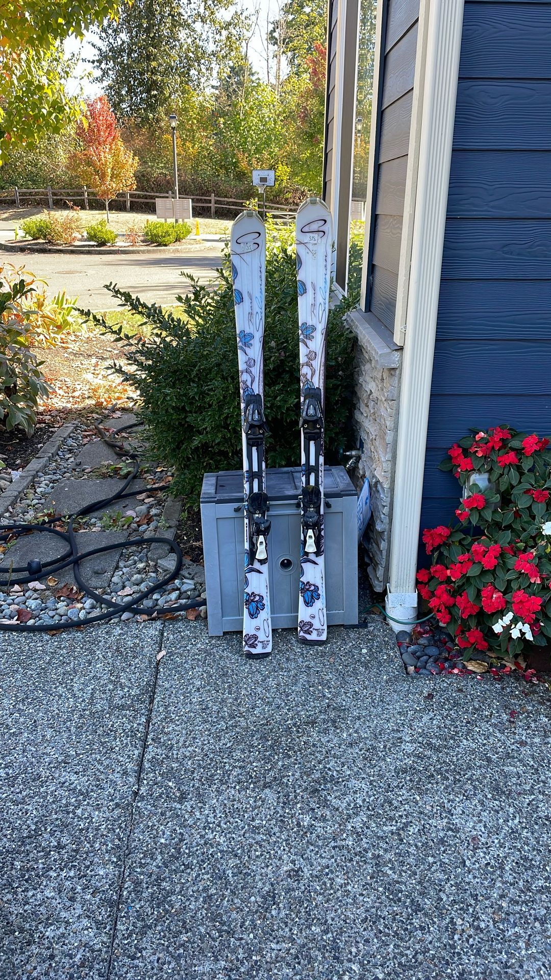 Salomon Ski