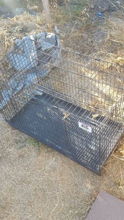 Cage good for small animals (55$)