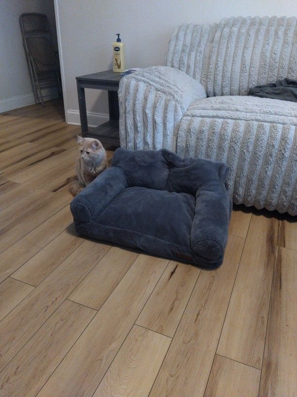Cat/Dog Plush Bed