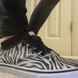 Vans Zebra Stripe Print Doheny Decon Skate Shoes