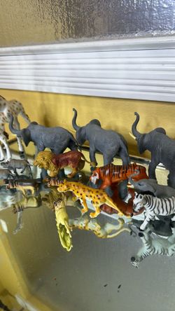 14 animals elephants, giraffes, hippopotamus, lions, tigers, zebra, leopard,
