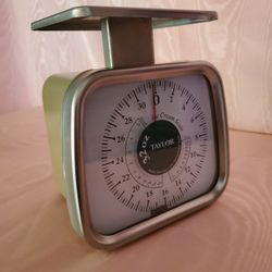 Ice Cream Scale