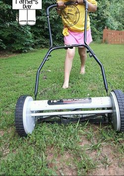 Reel mower two available