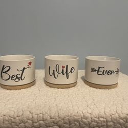 Best Wife Ever Succulent Pots