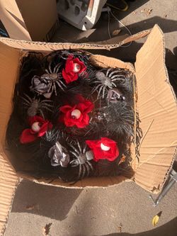Halloween Spider and Eyeball Wreath