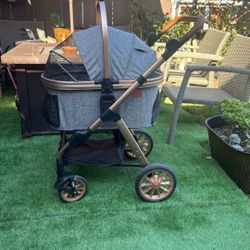 Fancy/comfy Dog Stroller
