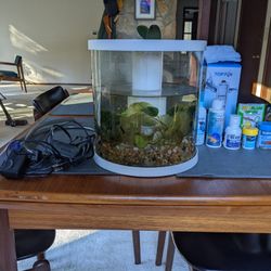Beta Fish Tank With Everything!!!