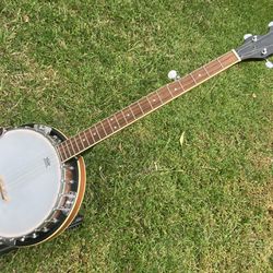 5 string banjo 