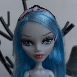 Monster High Doll And 