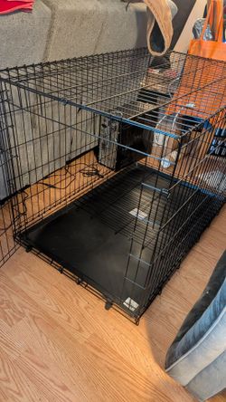 XL dog crate