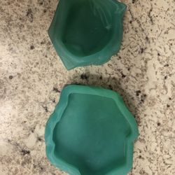 2 Reptile Dishes 