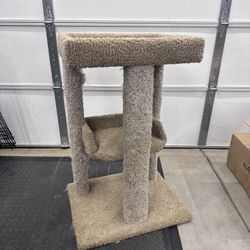 Cat Scratching Post (free)