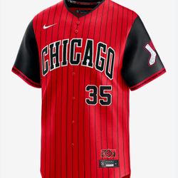 White Sox Jersey Nike 