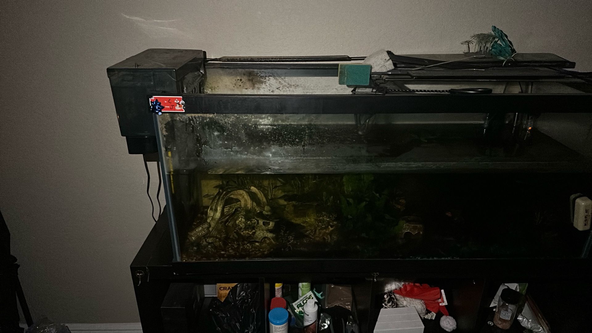 65gal Fully Setup 