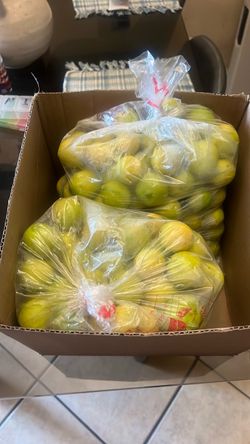 Fresh Lemons – Two Large Bags