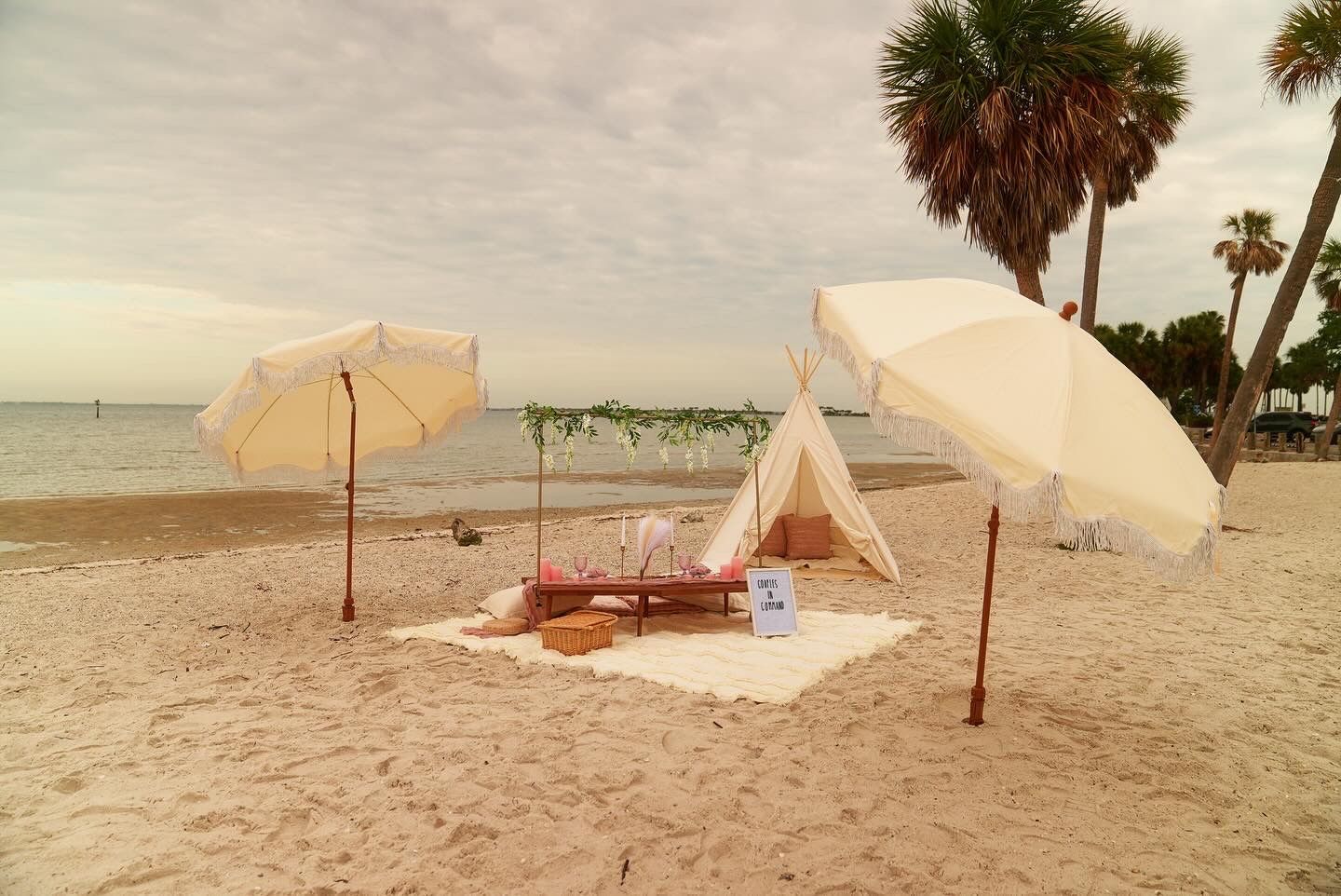 Luxury Picnic designed to your liking Tampa FL
