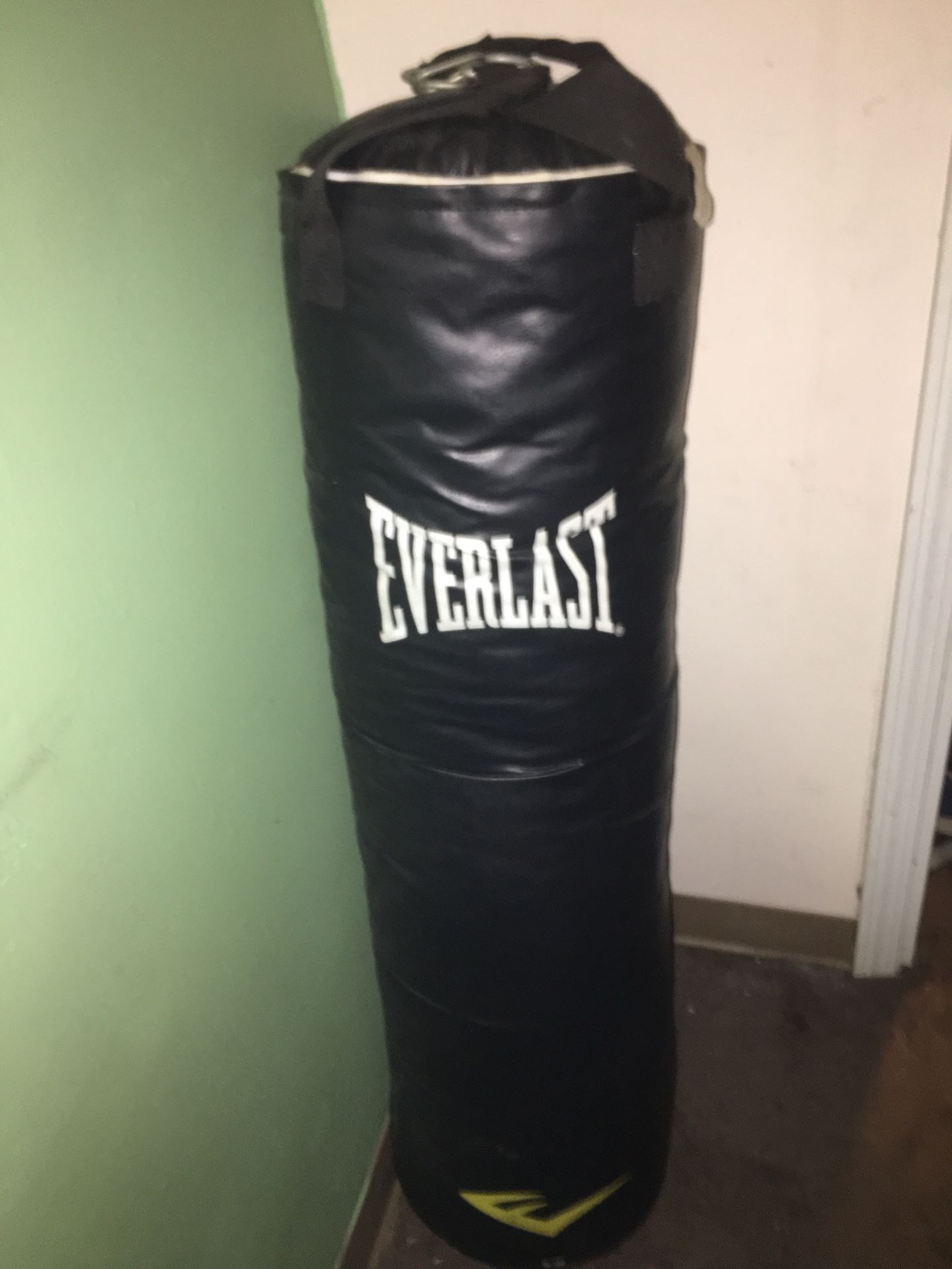 Everlast 100 lbs Punching Bag