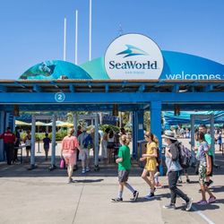 Seaworld Tickets $15 Each Includes Parking 