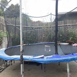 Trampoline