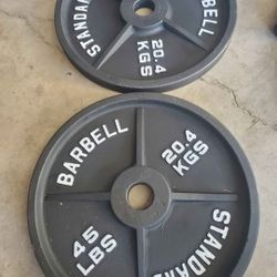 Set Of 2x45lb Olympic Weights Thats 90lbs Together...