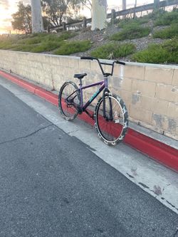 29er