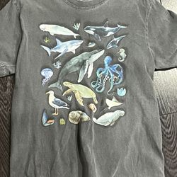 T-Shirt short sleeves Men’s Grey distressed Sea life T shirt top Medium Shark