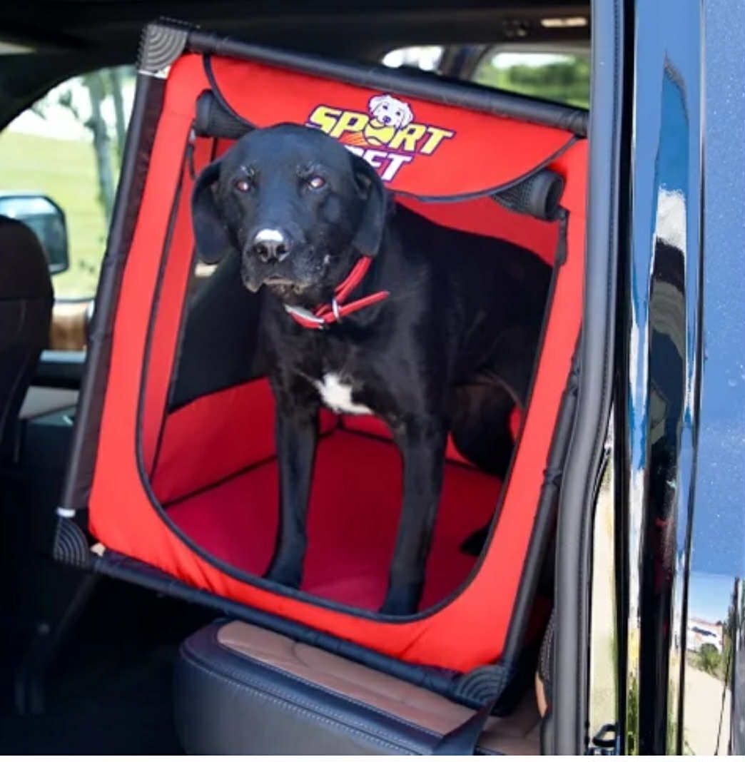 Large Portable Dog Kennel